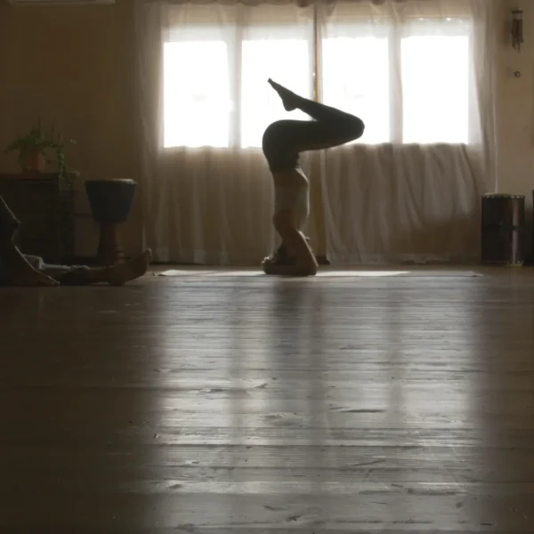 Yoga Shala - indoor
